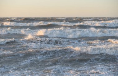 Gün batımında Baltık kıyısı. Yumuşak altın güneş ışığı, parlayan gökyüzü, dalgalar. Idyllic deniz manzarası. Seyahat yerleri, eko turizm, doğa, hava durumu, iklim değişikliği. Resimli panoramik manzara
