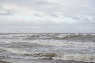 Fırtınadan sonra Baltık Denizi. Gün batımı. Resimli panoramik manzara, deniz manzarası. Doğa, çevre, sert hava, iklim değişikliği
