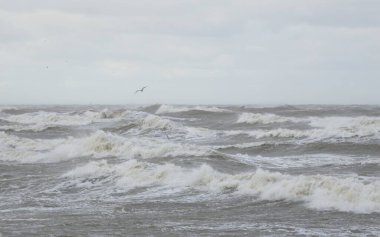 Fırtınadan sonra Baltık Denizi. Gün batımı. Resimli panoramik manzara, deniz manzarası. Doğa, çevre, sert hava, iklim değişikliği