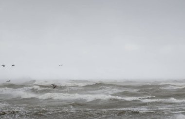 Fırtınadan sonra Baltık Denizi. Gün batımı. Resimli panoramik manzara, deniz manzarası. Doğa, çevre, sert hava, iklim değişikliği