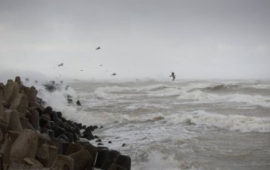Sis içindeki Baltık Denizi. Dalgalar, su sıçratma, fırtına. Dalgalar, uçan martılar. Resimli panoramik monokrom manzarası, deniz manzarası. Doğa, çevre, sert hava, tehlike