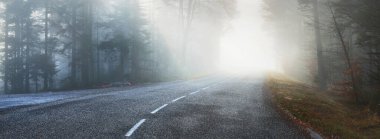 Asfalt yolu (karayolu) sisli bir çam ormanının içinden geçer. Fransız Alsace, Fransa. Atmosferik sonbahar manzarası. Seyahat yerleri, tatiller, özgürlük, eko-turizm, saf doğa. Panoramik görünüm