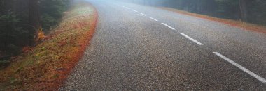 Asfalt yolu (karayolu) sisli bir çam ormanının içinden geçer. Fransız Alsace, Fransa. Atmosferik sonbahar manzarası. Seyahat yerleri, tatiller, özgürlük, eko-turizm, saf doğa. Panoramik görünüm