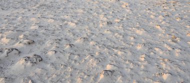 Deniz kıyısı dokusu. Kum tepeleri, rüzgar, yumuşak altın güneş ışığı. Soyut doğal şablon. Çöl, iklim değişikliği, çevre, doğa