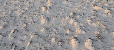 Sea shore texture. Sand dunes, wind, soft golden sunlight. Abstract natural pattern. Desert, climate change, environment, nature
