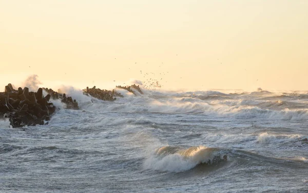Gün batımında Baltık kıyısı. Yumuşak altın güneş ışığı, parlayan gökyüzü, dalgalar. Idyllic deniz manzarası. Seyahat yerleri, eko turizm, doğa, hava durumu, iklim değişikliği. Resimli panoramik manzara