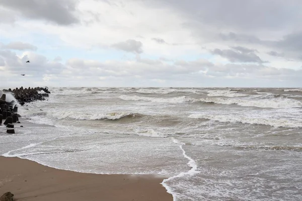 Baltic Sea Fog Waves Splashing Water Storm Breakwaters Flying Seagulls — Photo