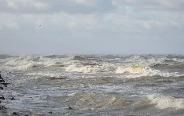 Fırtınadan sonra Baltık Denizi. Gün batımı. Resimli panoramik manzara, deniz manzarası. Doğa, çevre, sert hava, iklim değişikliği