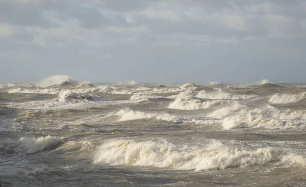 Baltic Sea Storm Sunset Picturesque Panoramic Scenery Seascape Nature Environment — Photo