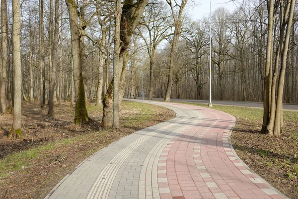 Modern Winding Pedestrian Walkway Bicycle Road Forest Park Early Spring — Stockfoto