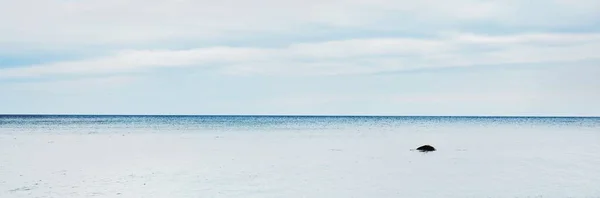 Panoramic Seascape Clear Blue Glowing Sky Reflections Sea Water Surface — Stock Photo, Image