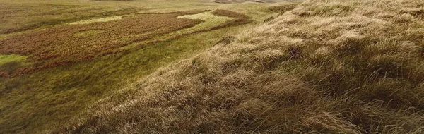 Rocky Lakeshore Valley Natural Texture Jura Island Inner Hebrides Scotland — Foto de Stock