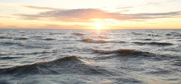 Gün batımında Baltık Denizi. Dramatik gökyüzü, mavi ve pembe parlayan bulutlar, altın güneş ışığı. Dalgalar, su sıçratma. Resimli manzara, deniz manzarası, doğa. Panoramik görünüm