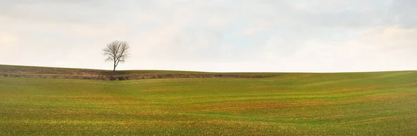 Cenário Panorâmico Pitoresco Campo Agrícola Arado Céu Dramático Com Nuvens — Fotografia de Stock