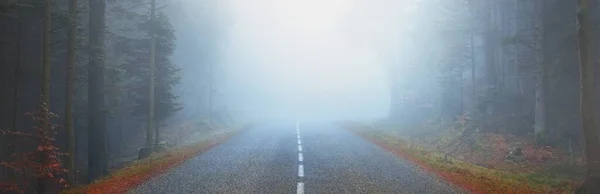 Camino Asfalto Carretera Través Del Bosque Pinos Siempreverdes Una Niebla —  Fotos de Stock