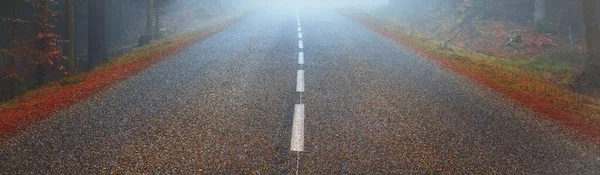 Route Asphaltée Autoroute Travers Forêt Pins Feuilles Persistantes Dans Brouillard — Photo