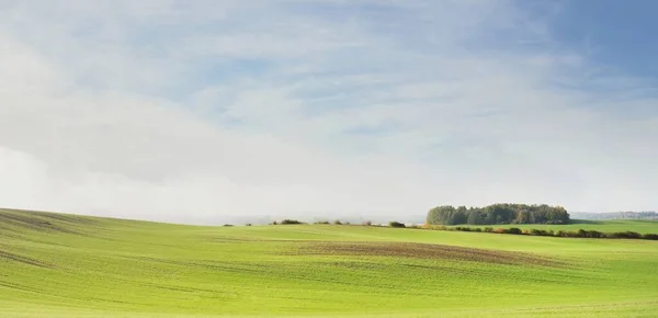 Green Hills Plowed Agricultural Field Tractor Tracks Forest Sunrise Close — Stock Photo, Image