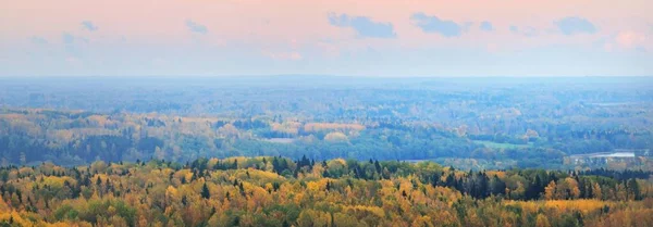 Picturesque Panoramic Aerial View Colorful Autumn Forest Golden Red Orange — Stock Photo, Image