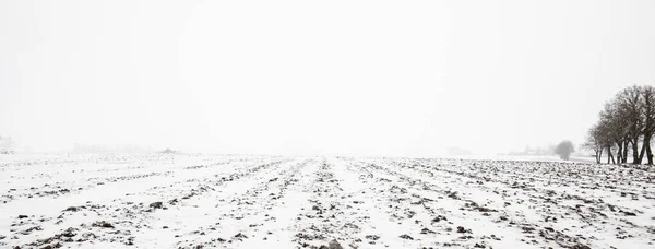 눈덮인 농경지의 파노라마 얼어붙은 — 스톡 사진