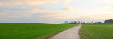 Kırsal yolun üzerinde parlayan pembe bulutlar ve güneş doğarken tarlaya sürülen yeşil tarlalarla destansı bir gökyüzü. Idyllic yaz sahnesi. Litvanya. Resimli panoramik manzara. Atmosferik manzara