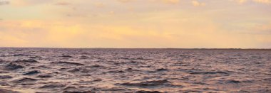 Gün batımında Baltık Denizi. Fırtınadan sonra dramatik bir gökyüzü, yumuşak altın güneş ışığı. Su yüzeyine yakın çekim. Doğa, çevre, ekoloji, meteoroloji, kasırga, kararsız hava