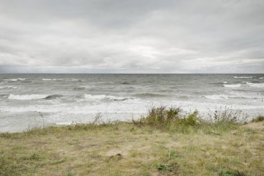 Fırtınadan sonra Baltık kıyısı (plaj). Kum tepeleri, kum tepeleri. Dramatik gökyüzü, dalgalar ve su sıçramaları. Doğa, ekoloji, kararsız hava, iklim değişikliği, eko-turizm, yürüyüş kavramları