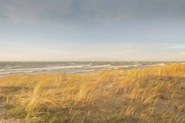Baltık kıyıları (kum tepeleri) fırtınadan sonra gün batımında. Açık gökyüzü, parlayan bulutlar, rüzgar. Sonbahar manzarası. Doğa, çevre koruma, ekoloji, eko-turizm, yerel seyahat