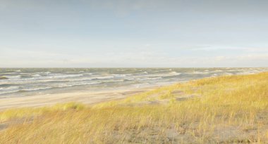 Baltık kıyıları (kum tepeleri) fırtınadan sonra gün batımında. Açık gökyüzü, parlayan bulutlar, rüzgar. Sonbahar manzarası. Doğa, çevre koruma, ekoloji, eko-turizm, yerel seyahat