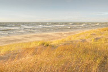Baltık kıyıları (kum tepeleri) fırtınadan sonra gün batımında. Açık gökyüzü, parlayan bulutlar, rüzgar. Sonbahar manzarası. Doğa, çevre koruma, ekoloji, eko-turizm, yerel seyahat