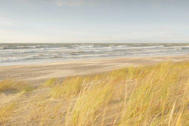 Baltık kıyıları (kum tepeleri) fırtınadan sonra gün batımında. Açık gökyüzü, parlayan bulutlar, rüzgar. Sonbahar manzarası. Doğa, çevre koruma, ekoloji, eko-turizm, yerel seyahat