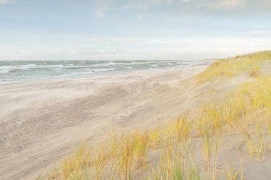 Baltık kıyıları (kum tepeleri) fırtınadan sonra gün batımında. Açık gökyüzü, parlayan bulutlar, rüzgar. Sonbahar manzarası. Doğa, çevre koruma, ekoloji, eko-turizm, yerel seyahat