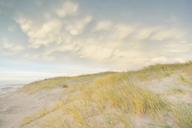 Gün batımında Baltık kıyısı. Kumsal, kum tepeleri, kum tepecikleri. Açık günbatımı gökyüzü, parlayan bulutlar. Idyllic manzara. Doğa, tatiller, eğlence. eko turizm