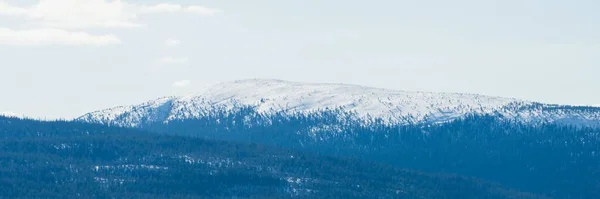 Montagne Innevate Foresta Paesaggio Invernale Idilliaco Ecologia Ambiente Cambiamento Climatico — Foto Stock