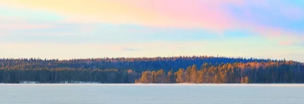 氷結した湖と雪に覆われた日没時の松林 氷の質感 劇的な空 ピンクの雲 冬の不思議の国 環境保全 生態系 気候変動 エコツーリズム クリスマス — ストック写真
