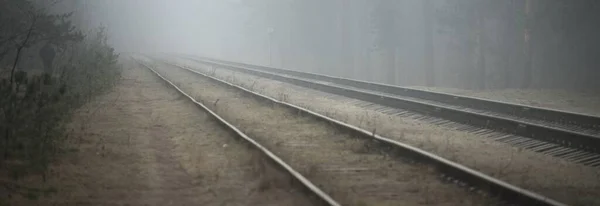 Voie Ferrée Dans Épais Brouillard Blanc Forêt Arrière Plan Concept — Photo