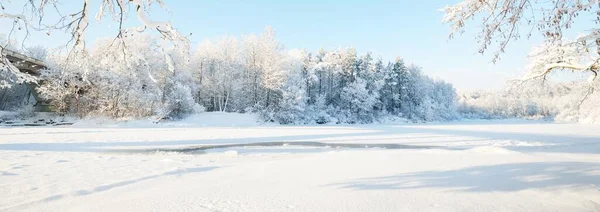 Fiume Ghiacciato Una Cornice Alberi Innevati Gelo Rami Cielo Blu — Foto Stock