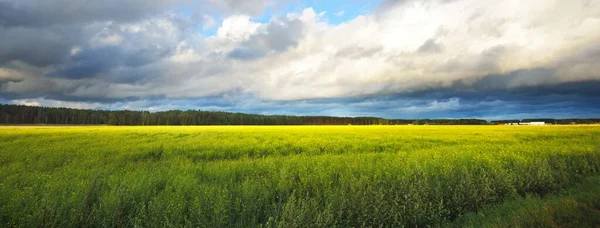 Campo Agrícola Rural Depois Chuva Céu Dramático Paisagem Épica Fickle — Fotografia de Stock