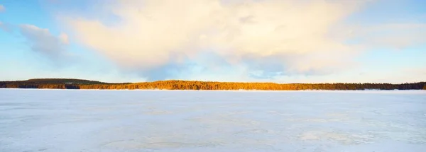 Fagyasztott Hófödte Fenyőerdő Naplementekor Jég Textúra Drámai Lágy Napfény Idilli — Stock Fotó