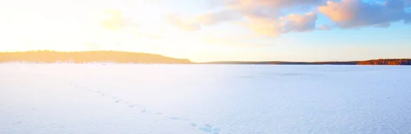 Lago Congelado Pinhal Coberto Neve Pôr Sol Textura Gelo Céu — Fotografia de Stock