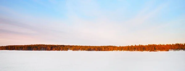 Заморожене Озеро Засніжені Соснові Ліси Заході Сонця Крижана Текстура Драматичне — стокове фото