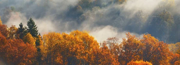 Захватывающий Дух Панорамный Вид Красочные Красные Оранжевые Желтые Деревья Смешанного — стоковое фото