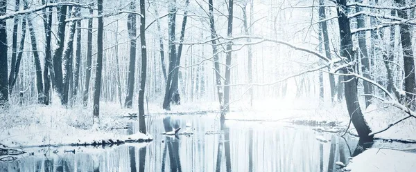 Fryst Kristallklar Flod Snötäckt Lövskog Symmetri Reflektioner Vattnet Naturlig Spegel — Stockfoto