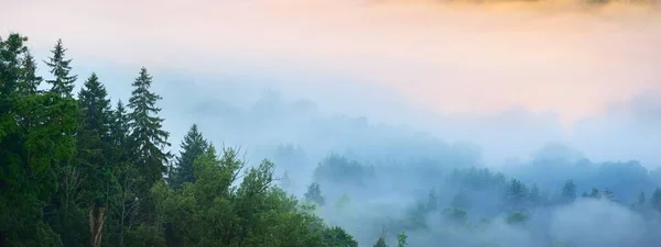 Impresionante Vista Aérea Los Coloridos Árboles Rojos Anaranjados Amarillos Bosque — Foto de Stock