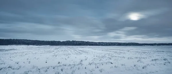 Met Sneeuw Bedekte Landweg Door Het Veld Het Bos Nachts — Stockfoto