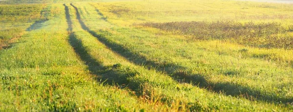 トラクタートラック 日の出の朝の霧の雲の中で緑の耕起農地を介して 太陽の光だ 牧歌的な田園風景 — ストック写真