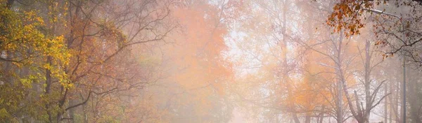 Пустое Извилистое Шоссе Асфальтовая Дорога Через Красочный Осенний Лес Тумане — стоковое фото