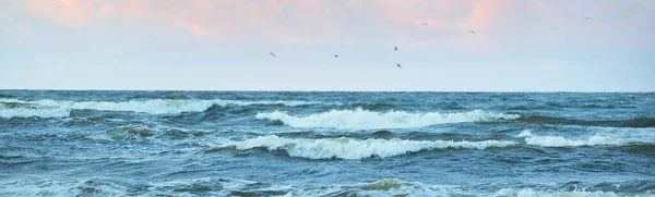 Fırtınadan Sonra Baltık Denizi Dramatik Günbatımı Gökyüzü Pembe Altın Kümülüs — Stok fotoğraf