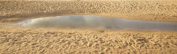 Sand Texture Close Baltic Sea Shore Beach Nature Environment Ecology — Zdjęcie stockowe