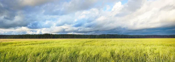 Campo Agrícola Rural Depois Chuva Céu Dramático Paisagem Épica Fickle — Fotografia de Stock