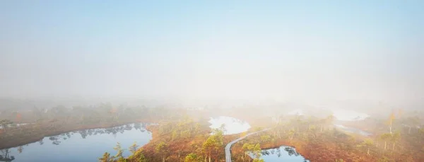 Aerial View Lake Young Pine Tree Forest Morning Fog Sunrise — Stock Photo, Image